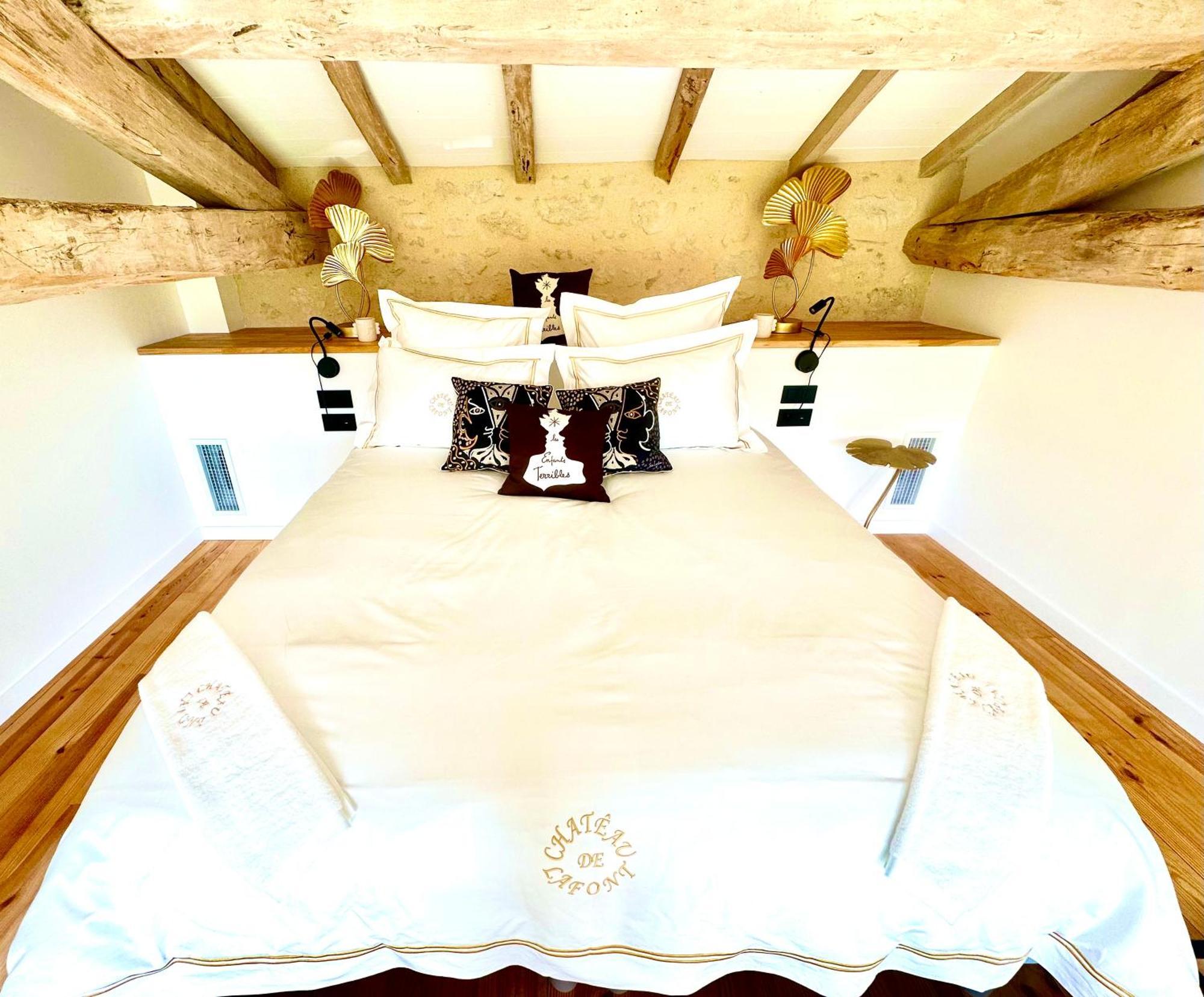 Chateau De Lafont Suites Saint-Vivien  외부 사진